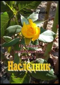 По следам авантюристки. Часть 2. Наследник