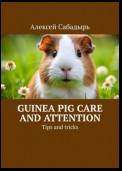 Guinea pig care and attention. Tips and tricks